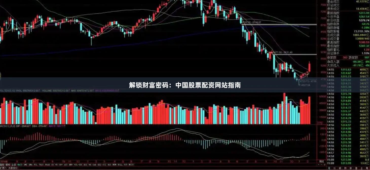 解锁财富密码：中国股票配资网站指南