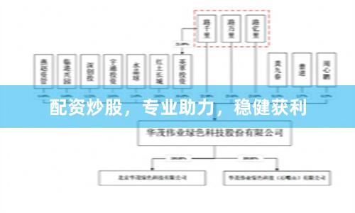 配资炒股，专业助力，稳健获利
